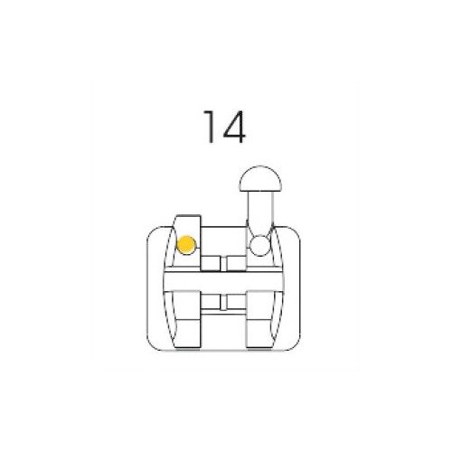 Roth Bracket 14