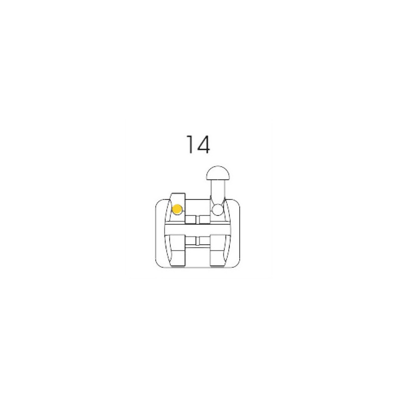 Roth Bracket 14