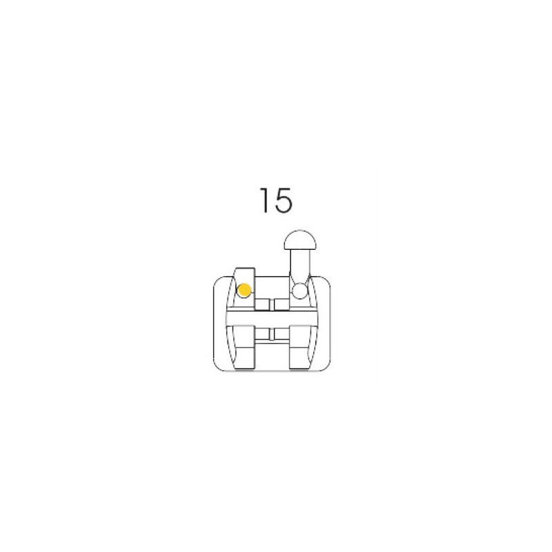 Roth Bracket 15