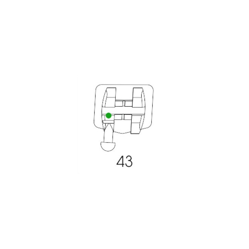 Roth Bracket 43