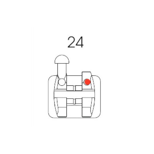 Roth Bracket 24