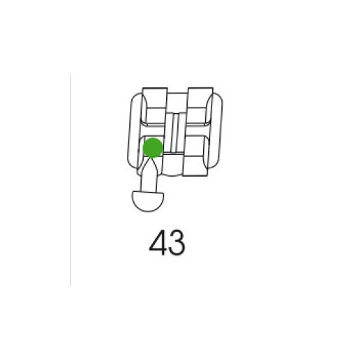 Bracket 43