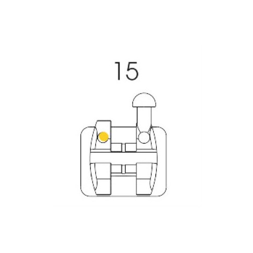 Roth Bracket 15