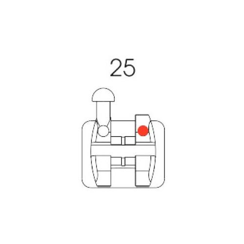 Roth Bracket 25